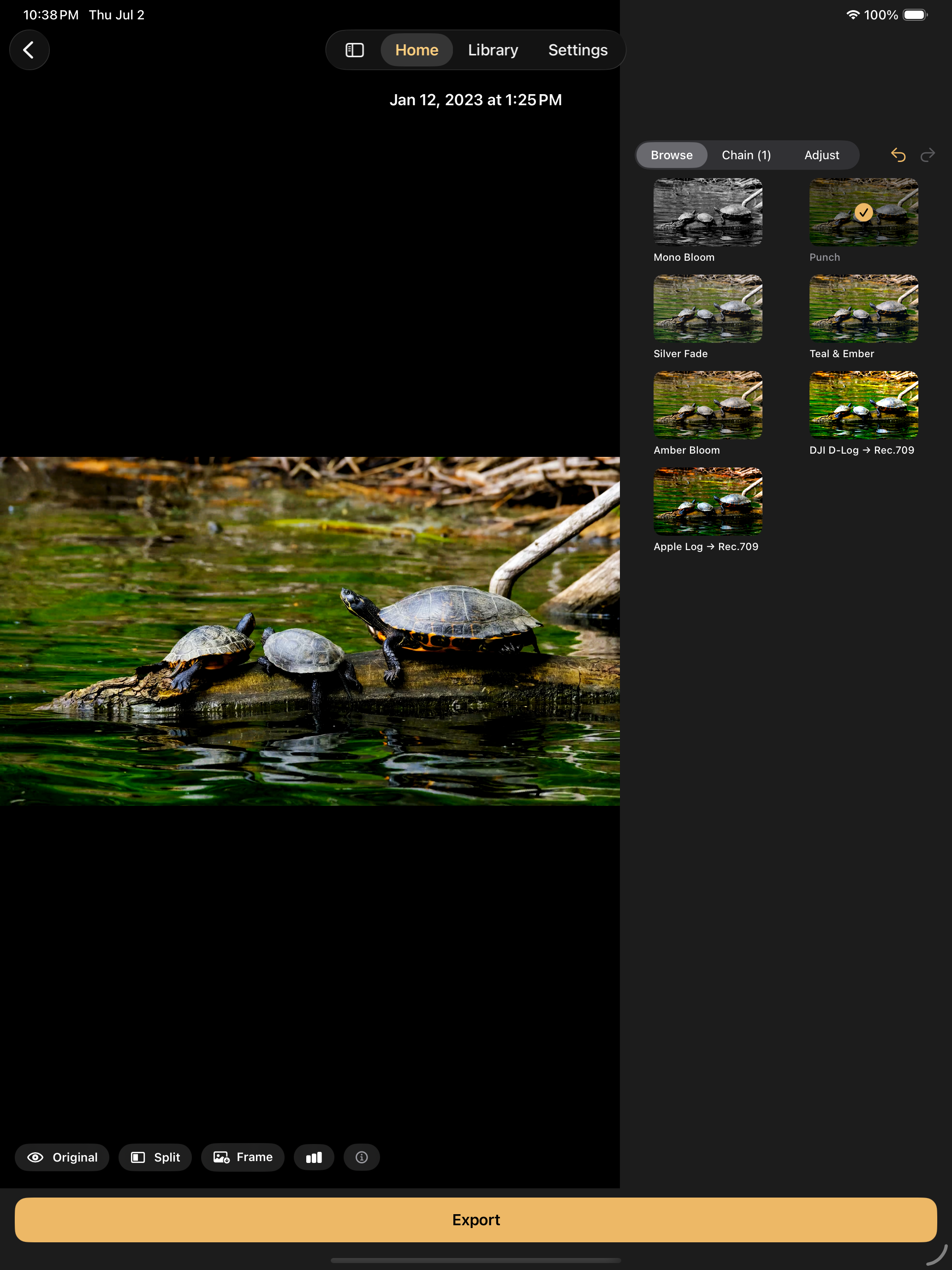 LogBloom: LUT Video Grading screenshot 7