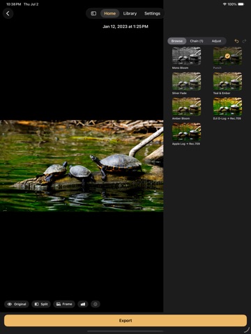 LogBloom: LUT Video Grading ipad screenshot 2