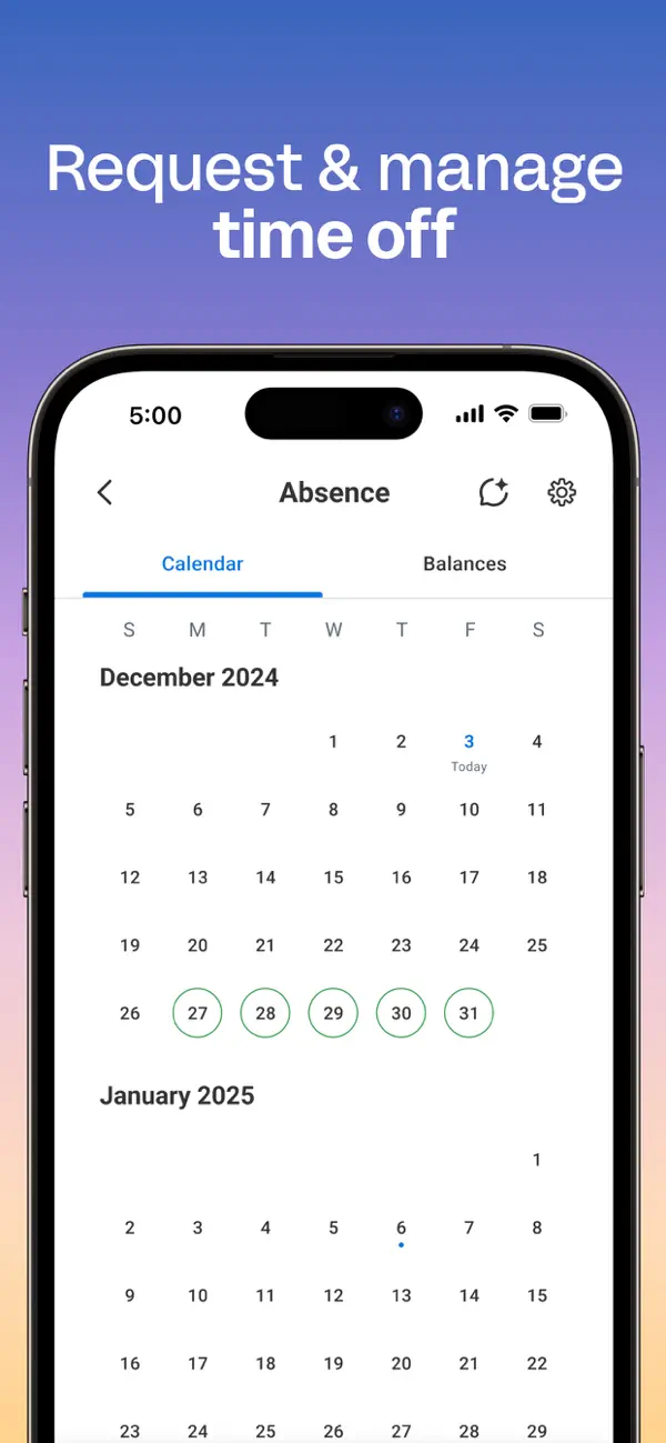Workday screenshot 6
