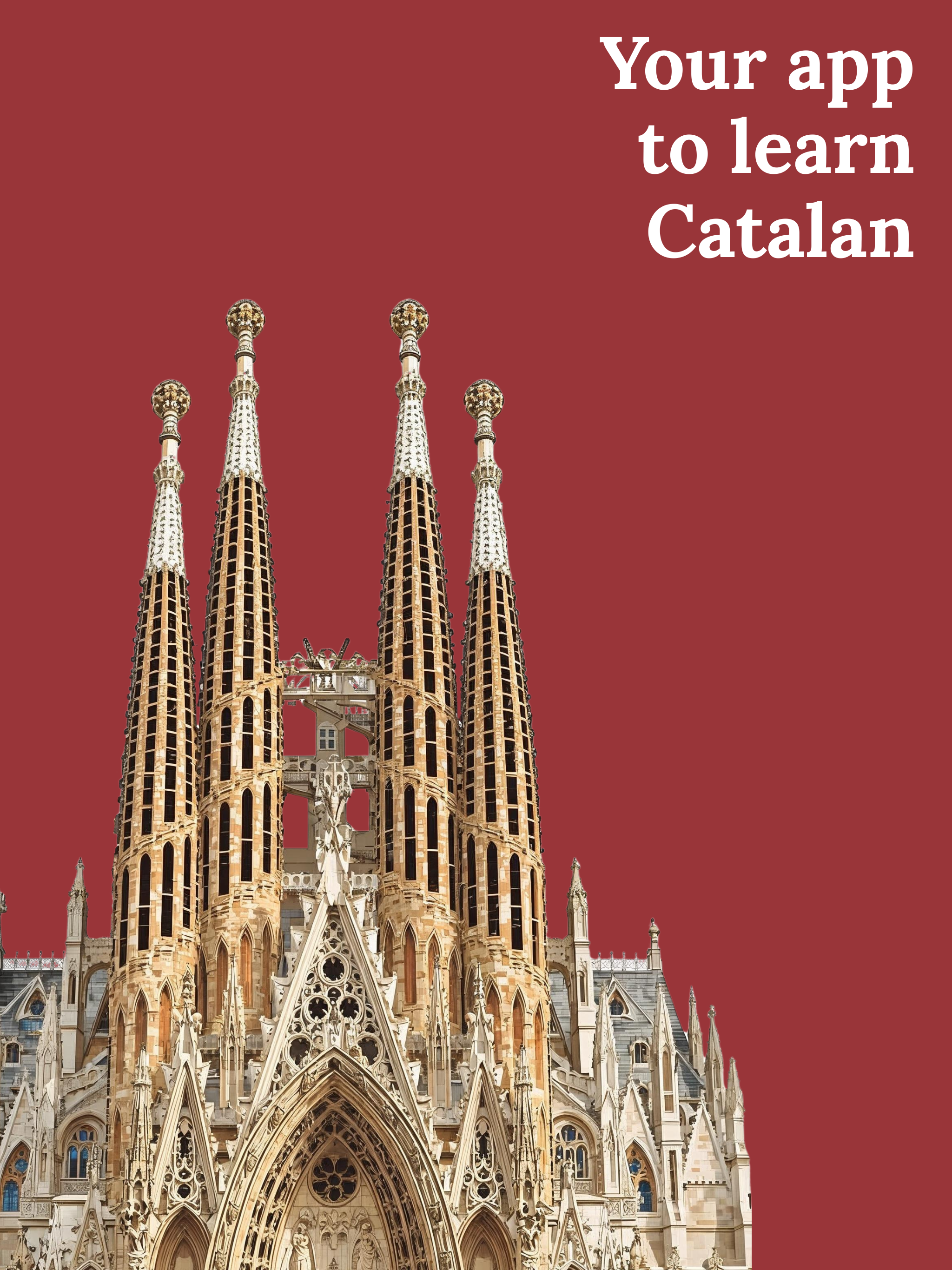 Learn Catalan (Beginners) screenshot 8