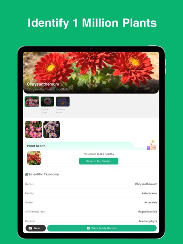 Plant Identifier: ChatPlant AI iPad screenshot