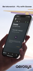 Goose, Your Digital Co-Pilot screenshot #2 for iPhone