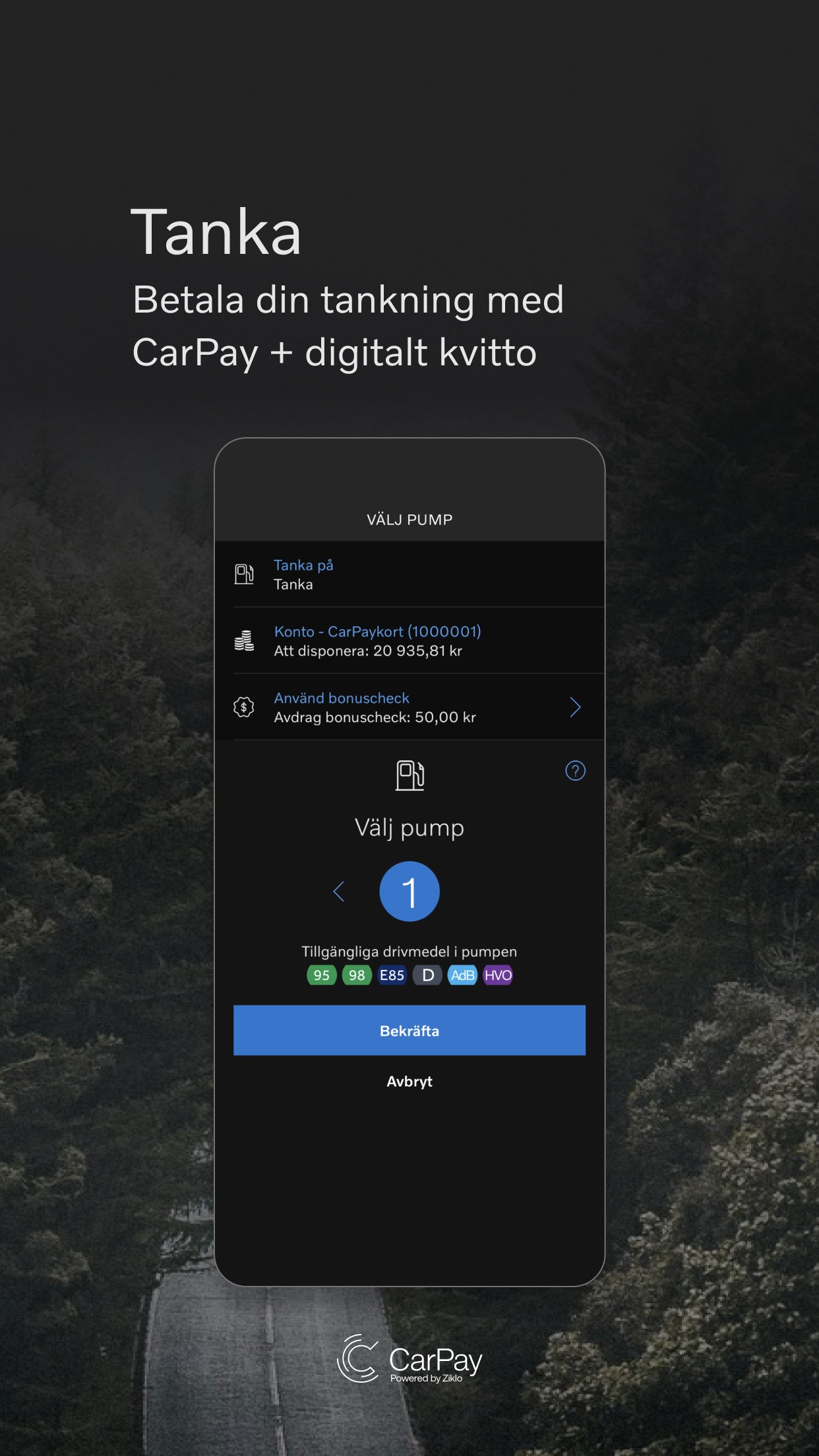 Screenshot 7 of CarPay