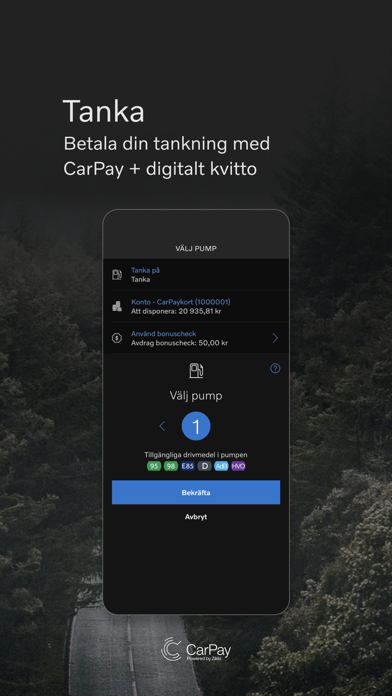 CarPay iPhone screenshot 7