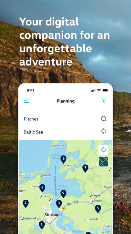California: Volkswagen Vanlife