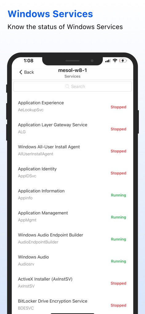 Windows Service Monitor - Business App | MWM