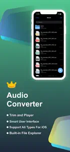 Audio Converter - All Format screenshot #3 for iPhone