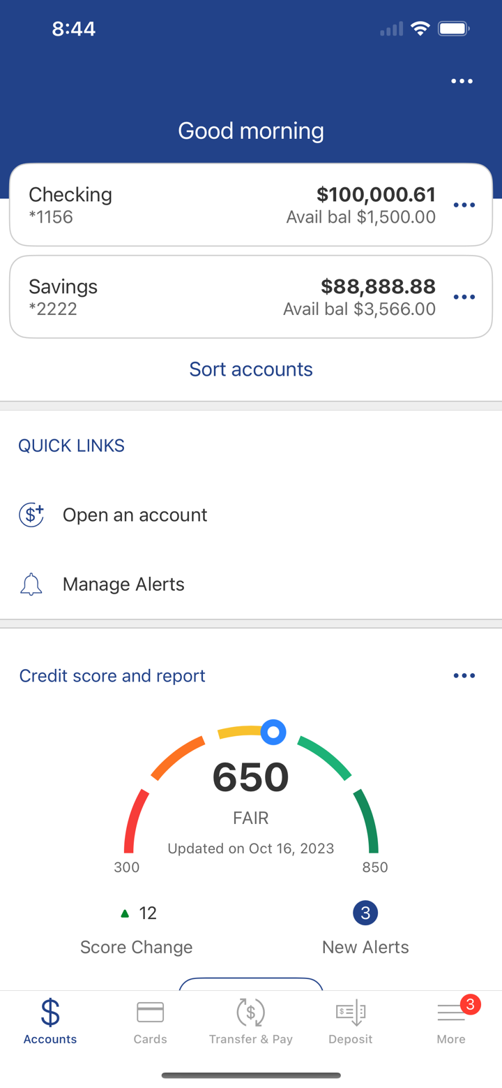 Belmont Savings Bank screenshot 2