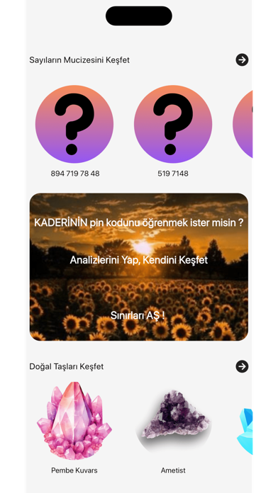 Numerology: Sayilarin Dili Screenshot