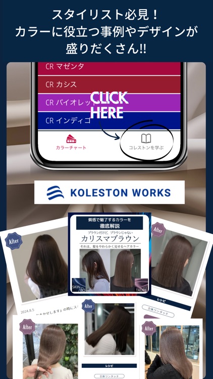 コレストンパーフェクト プラス デジタルカラーチャート screenshot-5
