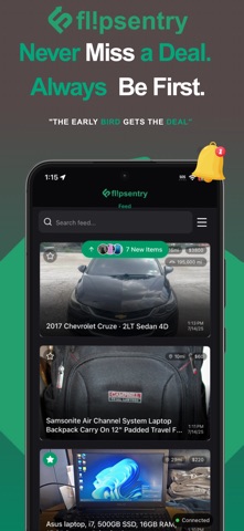 Flipsentry screenshot