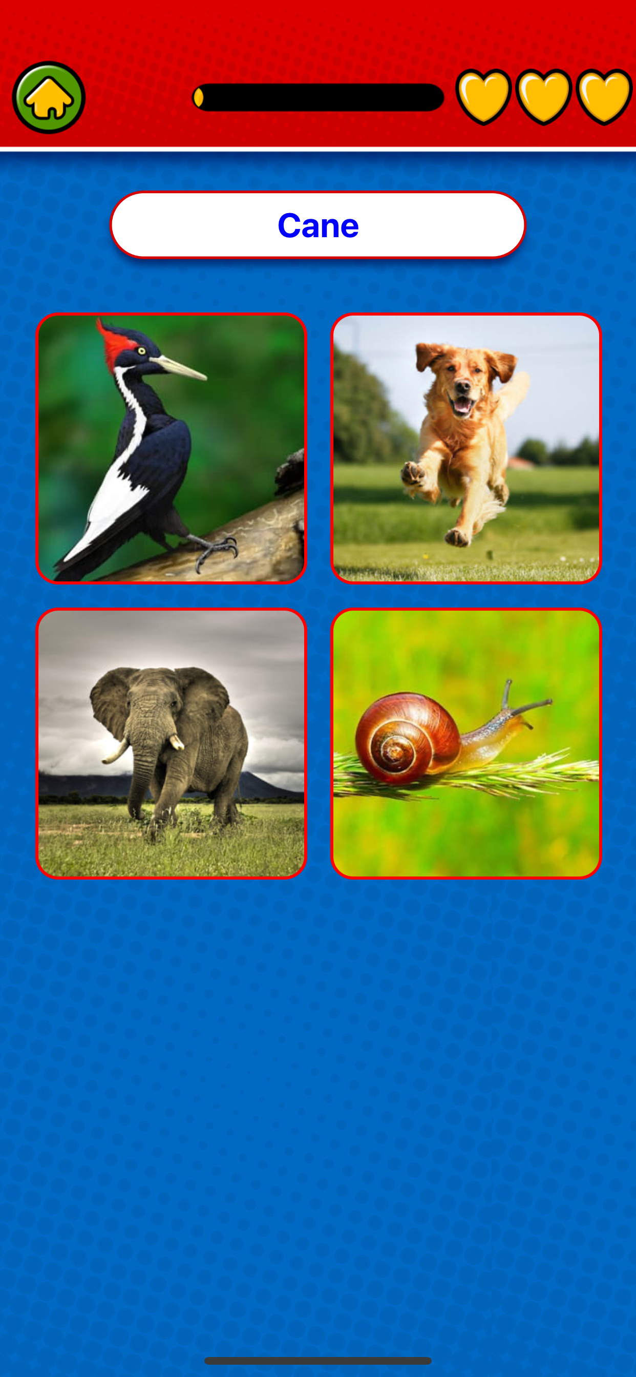 Game to learn Italian