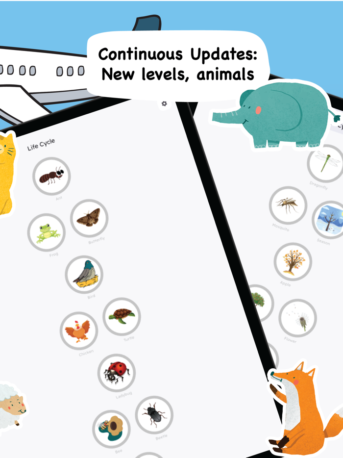 Learn life cycle for toddler