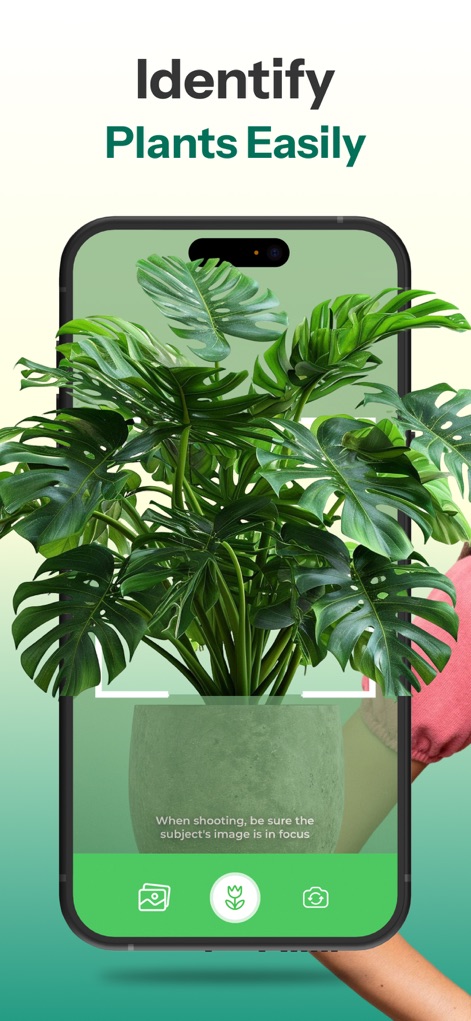 Plant Identifier - AI Scanner - App de Educación | MWM