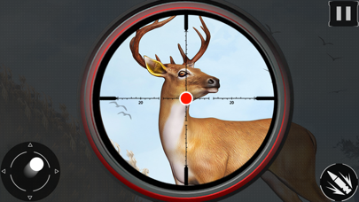 Jungle Hunt : Monarch Of Wild Screenshot