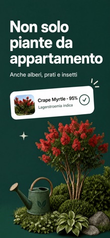 Arbori – Identifica le piante iPhone screenshot 7