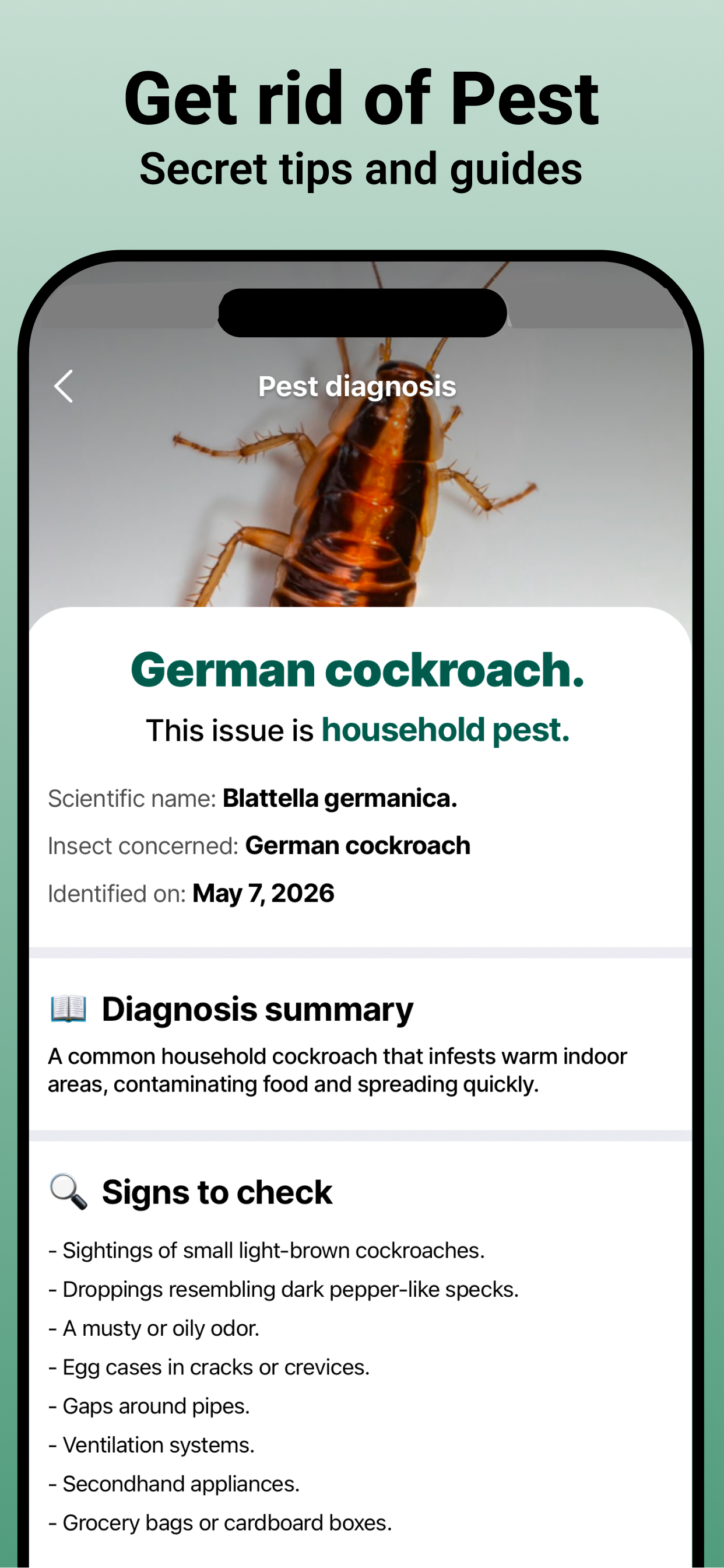 iBug: Insect & Bug Identifier