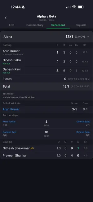 Baduga Cricket screenshot 4