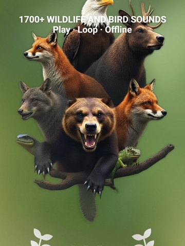 Animal Sound Identifier: AI iPad screenshot