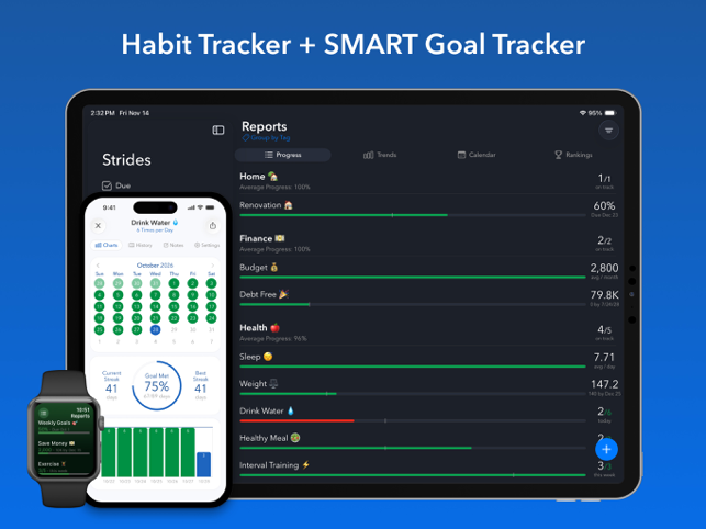 Strides: Habit Tracker + Goals Screenshot