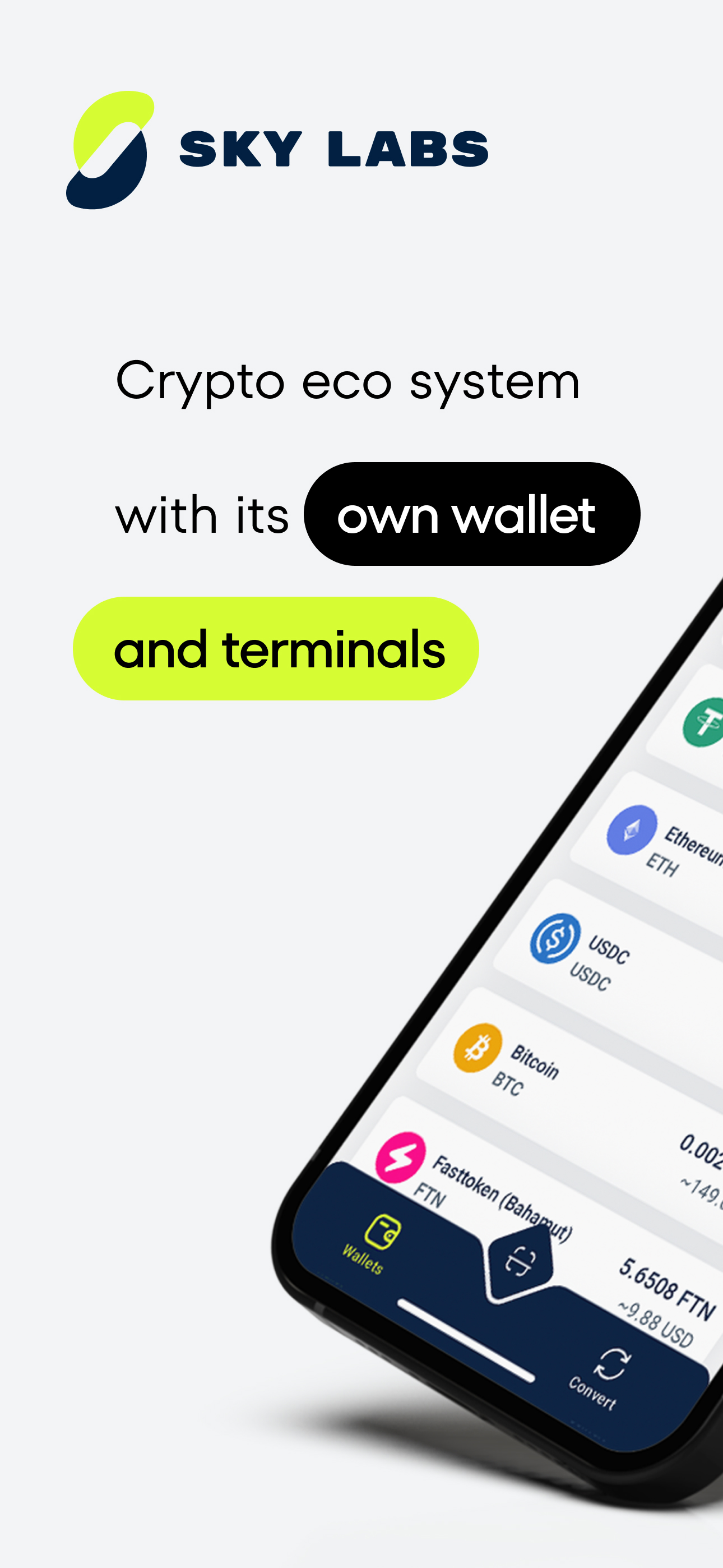 SkyLabs: Wallet and Terminals