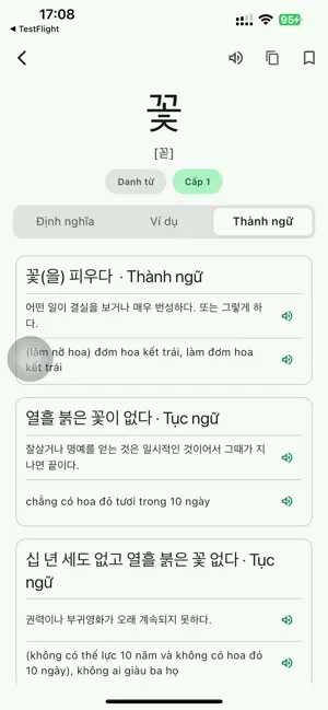 Korean–Vietnamese screenshot 4