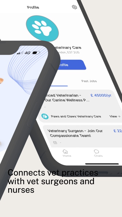 VetWork Pro