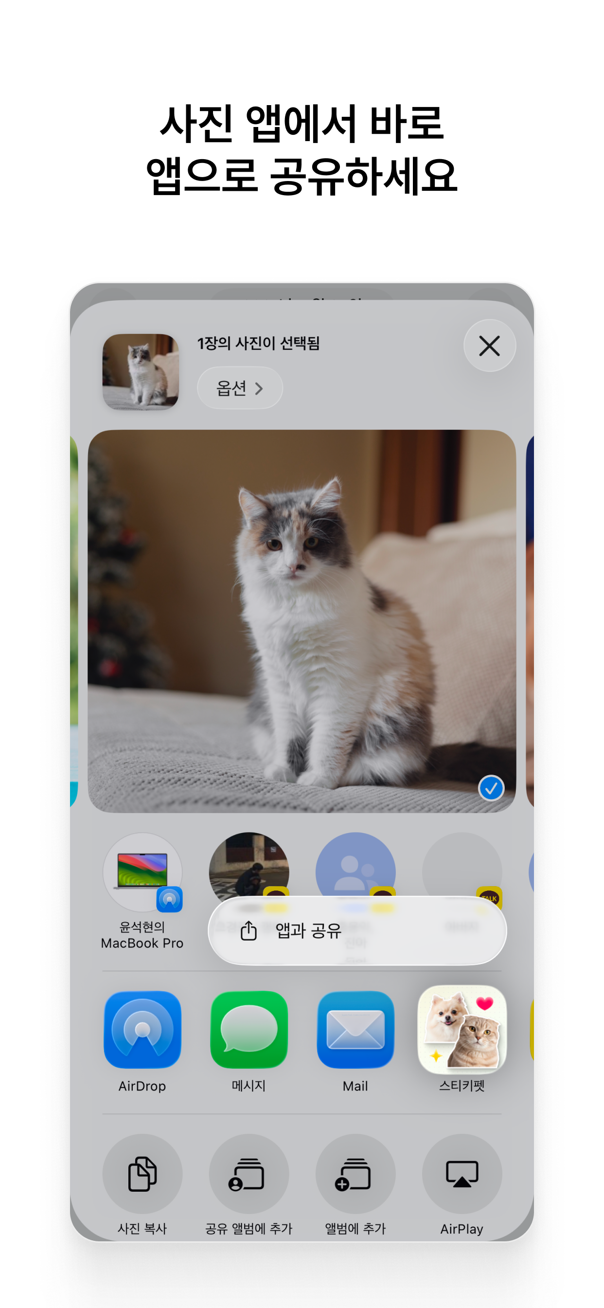 스티키펫 - 내 반려동물을 스티커로 screenshot 3