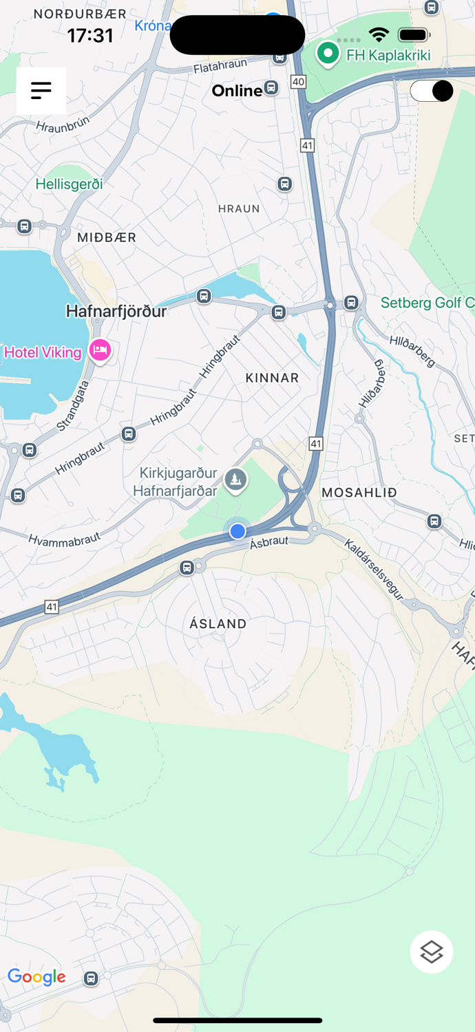 Sky Rides Taxi Driver