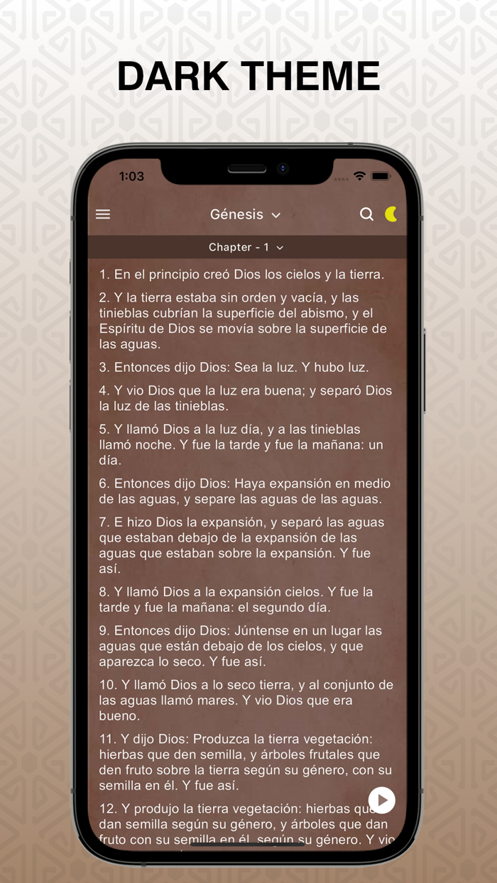 NTV Traducción Viviente Pro