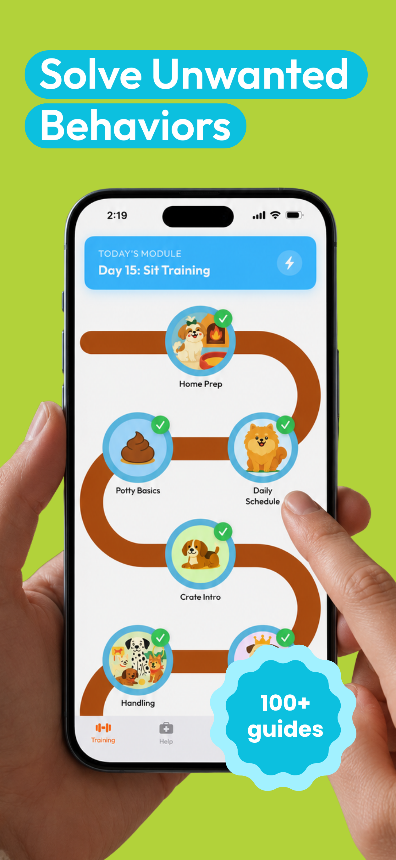 Dawgz: Dog Training & Vet Care