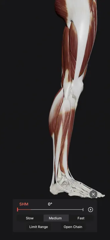 Knee Biomechanics screenshot 4 of 10