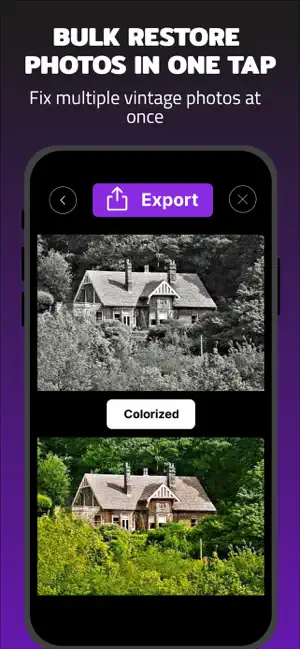 Colorize Photos: B&W to Color screenshot 3