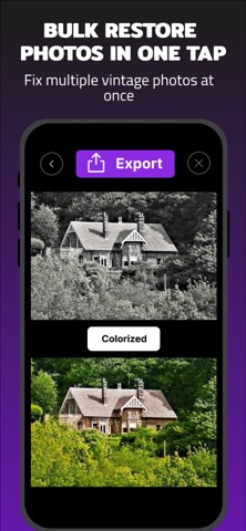 Colorize Photos: B&W to Color screenshot