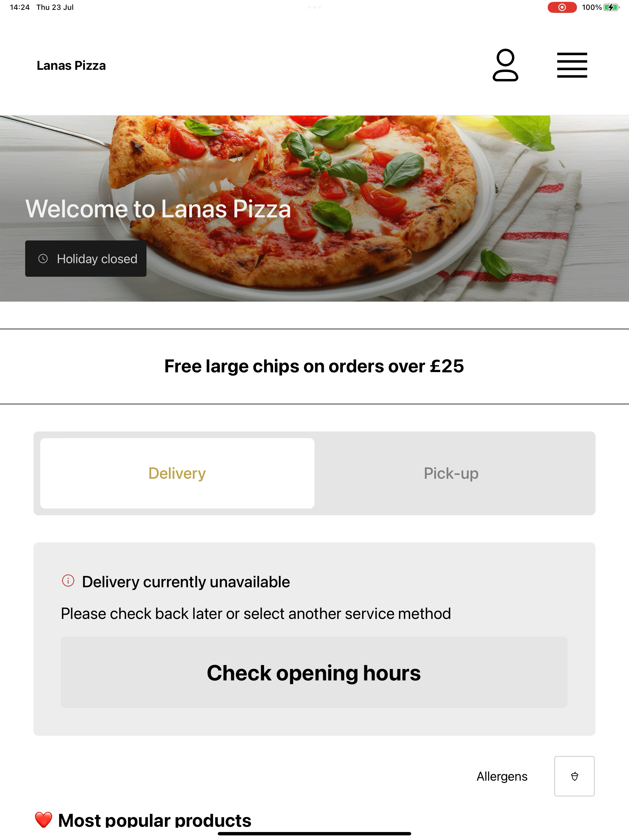Lanas Pizza screenshot 9