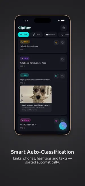 ClipFlow: Clipboard Manager screenshot 2