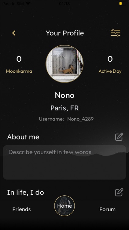 Ask Moona screenshot-3