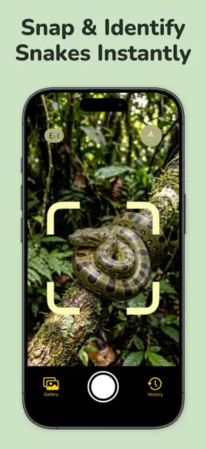 Snake Identifier: SnakeLens screenshot 1