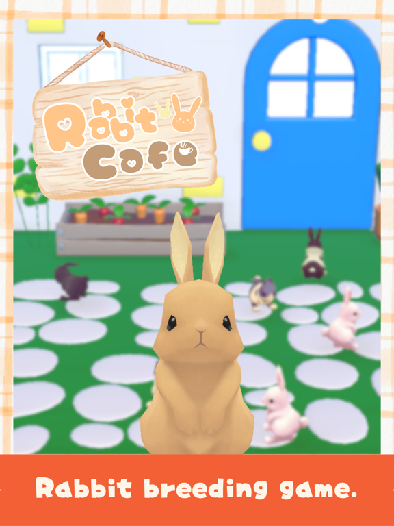 RabbitCafe