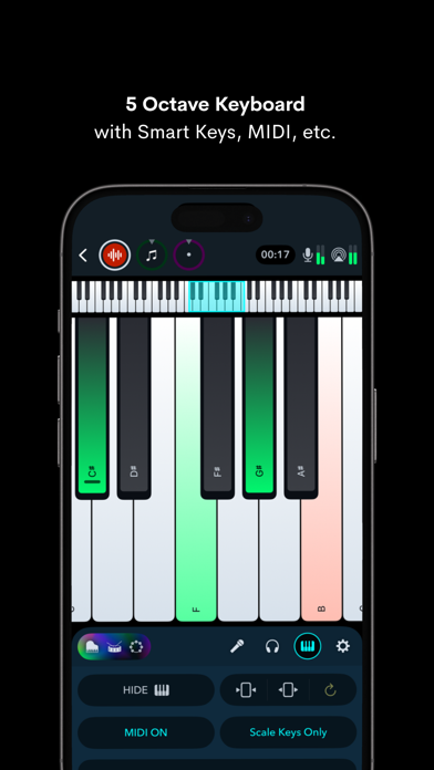 NaadSadhana | Sing Play Record iPhone screenshot 6 - Music app