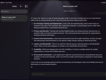 Think Local: AI Private Chat iPad screenshot