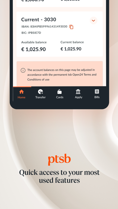 permanent tsb Screenshot