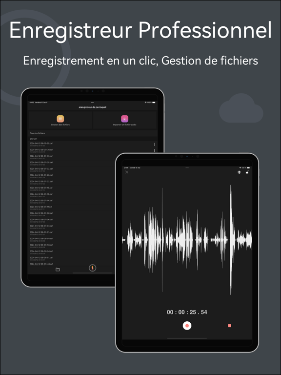 Screenshot #4 pour Dictaphone Audio Recorder