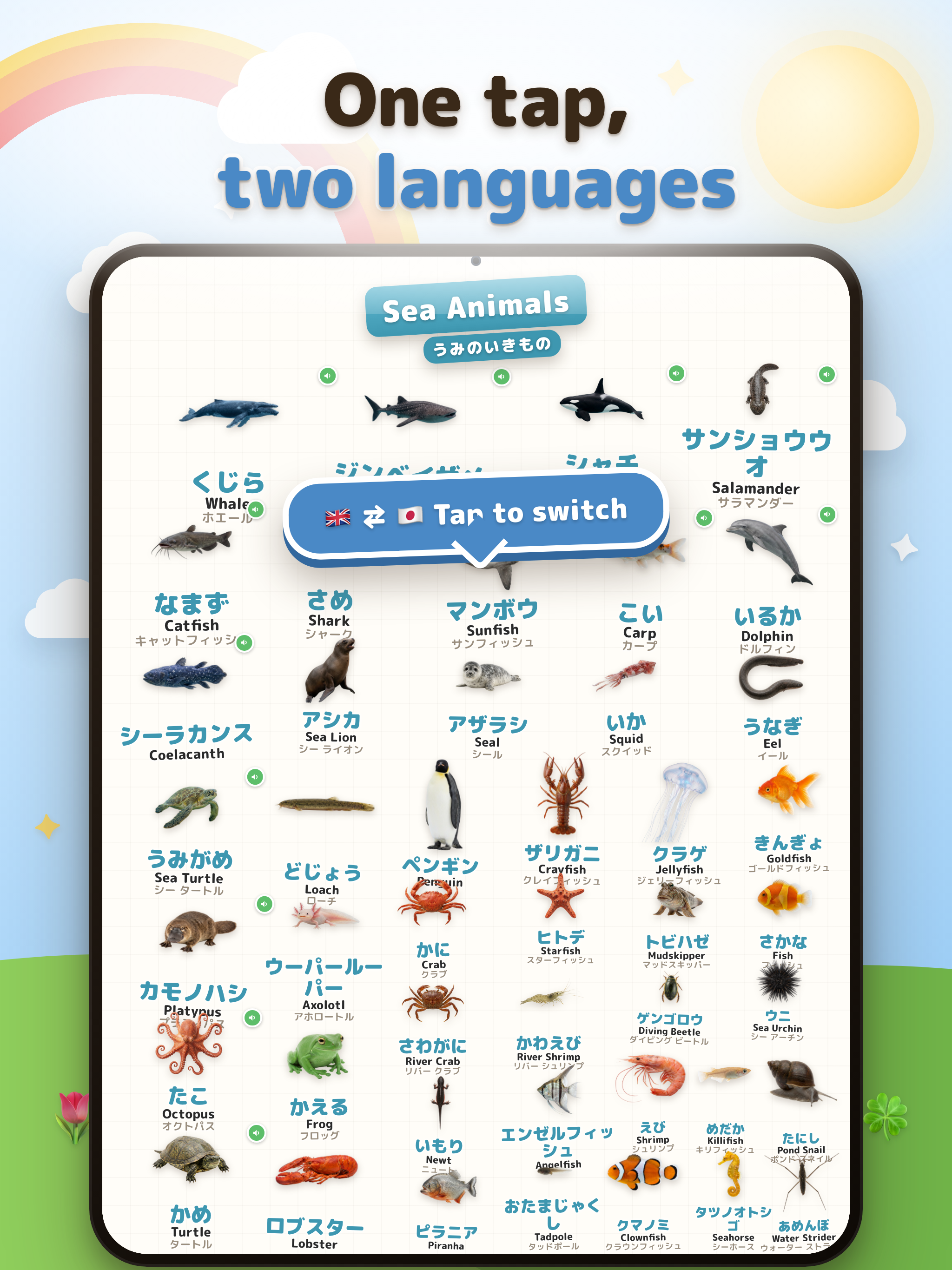 Japan Picture Book for Kids