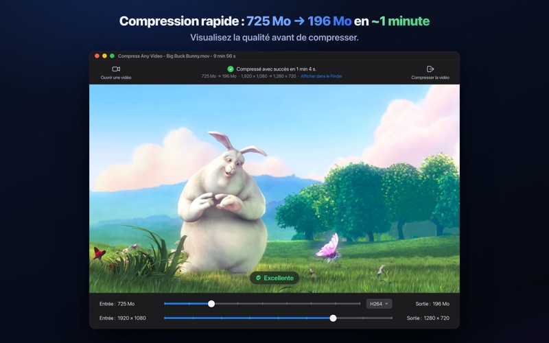 Screenshot #2 pour Compress Any Video