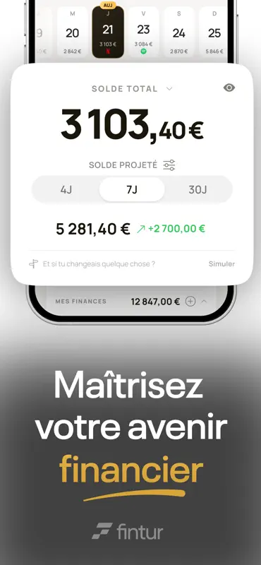 Fintur : Budget prévisionnel screenshot 1 of 9