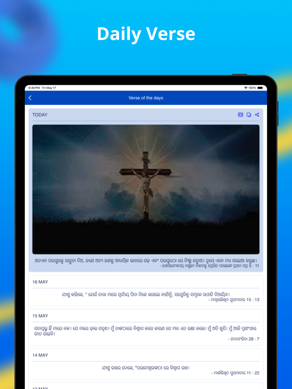 Oriya Bible - Offline iPad screenshot