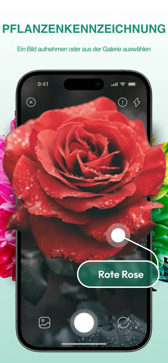 PlantExpert Leaf Identifier screenshot 1