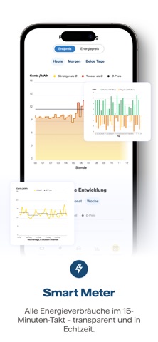 Vattenfall Energiemanager Screenshot 5 of 6