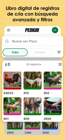 PEDIGRI screenshot